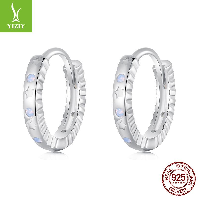 S925 Sterling Silver Earrings Women'S, Personalized High-End Zircon Ring Earrings Jewelry