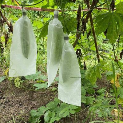 100Pcs Fabric Planting Pocket Fruit Protection Bags Planting Garden Greenhouse Supplies Insect Barrier Pouch Anti-bird