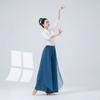 Flowing Chiffon Classical Dance Pant 2 Layer Performance Costumes  Dance Performance Wear