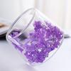 Inspired Double-Layer Glass Cup with Dried Flowers - Ideal for Coffee, Milk, Juice, or Water