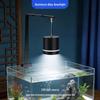 Peixes e animais aquáticos – Iluminação de aquário