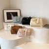 Autumn New Style Fashion Lock Locomotive Bag Portable Shoulder Oblique Span Women's Bag