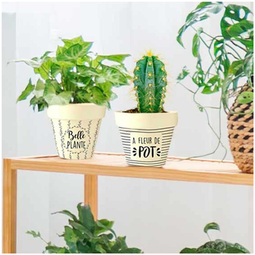 Les Trésors De Lily [Q6408] - Übertopf Bambus 'Messages' beige schwarz (Belle Epoque) -  10. 5x9. 5 cm