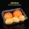 Disposable Rectangular Plastic Fruit Container