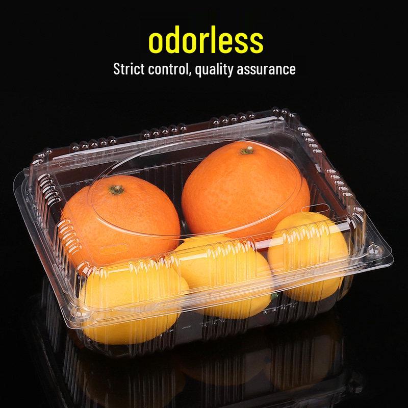 Disposable Rectangular Plastic Fruit Container