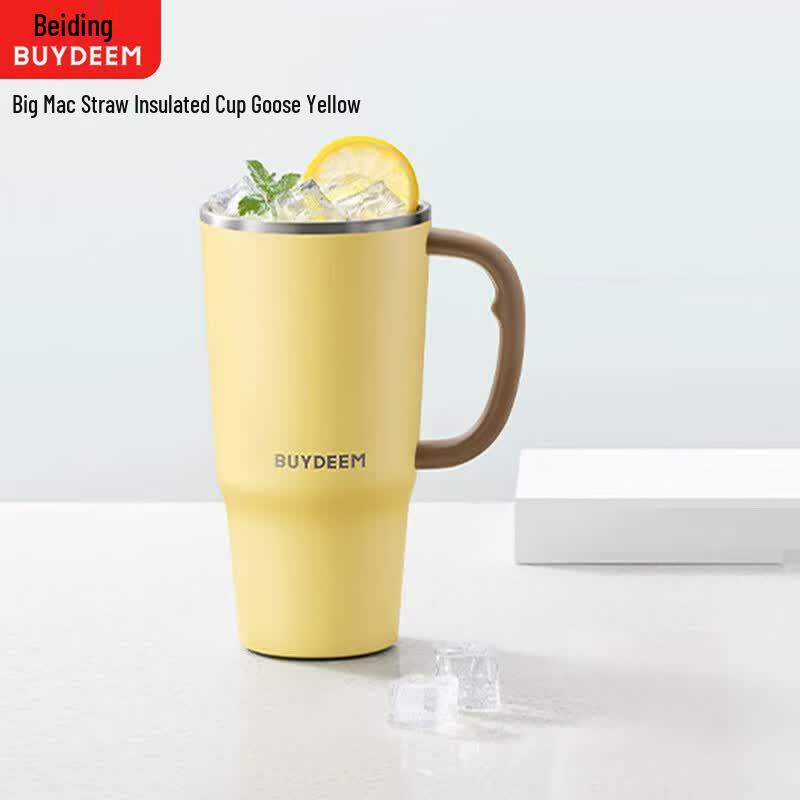 

Buydeem Stainless Steel Thermos Bottle with Straw