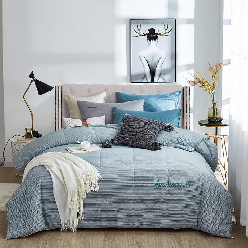 

TISEN Washed Soy Fiber Quilt