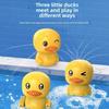 Waterplay Bath Toy Set With Water Wheel And Baby Duck Design For Toddlers