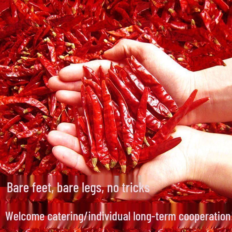 Multi-Chili Blend Dried Red Chili Segments 500g