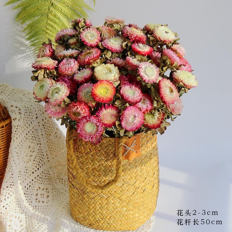 Daisies dried flower bouquet decorative ornament shooting props natural real flower arrangement bedroom dried bouquet