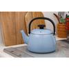 Fuji Enamel Cotton Plus Kettle, 2.5L, Ash Blue, CTP-2.5K.AB