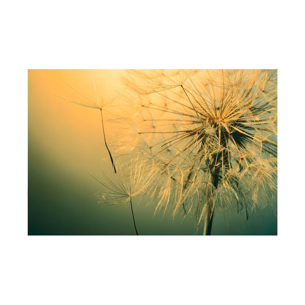Romantic Dandelion Background Tapestry for Events,Party Banner,Home Decor,Weddings,Photo Booths