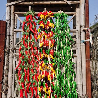 Stringa da Appendere con Finto Mais e Frutta Piccante Decorazione Prop per Ristorante in Stile Rustico