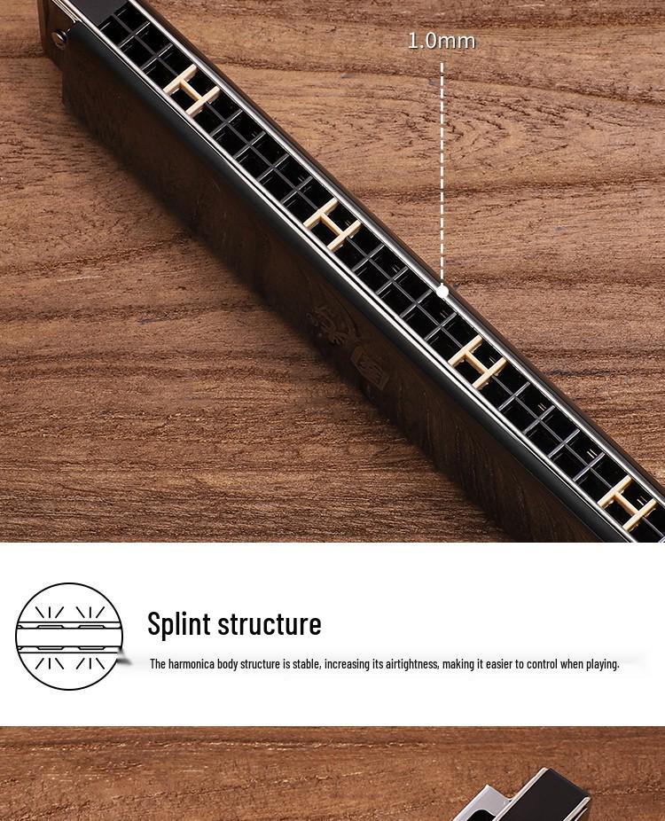Guoguang 24-Hole Harmonica Set: Beginner to Pro Level, Double Reed, 12 Keys, Suitable for All Ages.