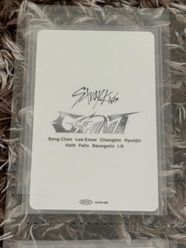 [USED] Stray Kids Tokyo Dome Limited Edition Trading Card