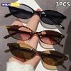 3 Pairs of Summer Women's Fashion Glasses Women's Glasses Suitable for Daily Decoration and Photography In Summer