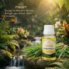 Pramodam Citronella Fragrance Oil 30 Ml | Aroma Oil for Floor Cleaning & Diffusers | Fresh Citrus Fragrance | Mosquito Repellent Aroma | Aromathe