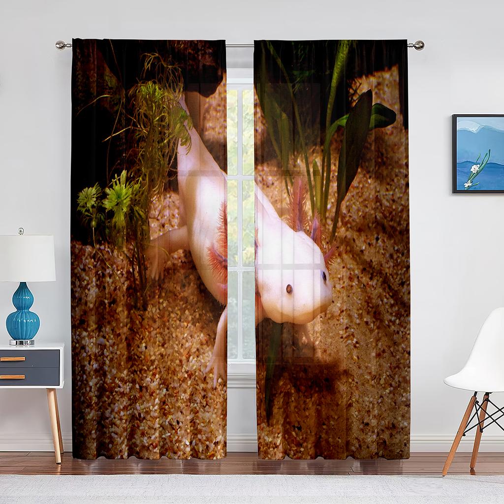 Cartoon Watercolor Axolotl with Hat Sheer Voile Curtain Sealife Reptiles Chiffon Tulle Curtains for Living Room Bedroom Drapes