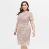Women's Plus Size Relax Fit Shift Dress Floral Lace Scalloped V Neck Short Sleeve Midi Cocktail Party Wear Daily Work Office Occasion Outfits XL-4XL