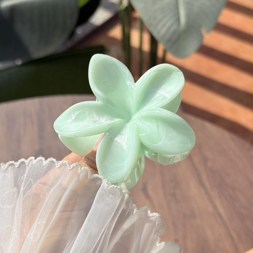 Frangipani Fresh and Sweet Egg Flower Hair Claw Back of Head Disc Hair Shark Clip Hair Ornament Claw Hair Clips for Women
