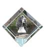 English Springer Spaniel – Crystal Cube with a Photo, Photo of a Horse In Crystal |