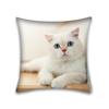 Cute Cat Pillowcase Anime Cartoon Cushion Cover Sofa Home Decor Home Office Pillowcase 45x45cm
