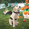 Fashion Cat Clothes Bat Wings Funny Dog Costume Artificial Wing Pet Cosplay Prop Halloween Christmas Cat Costume Pet Products