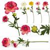 Decorațiuni pentru casă – Flori decorative şi coroane de flori