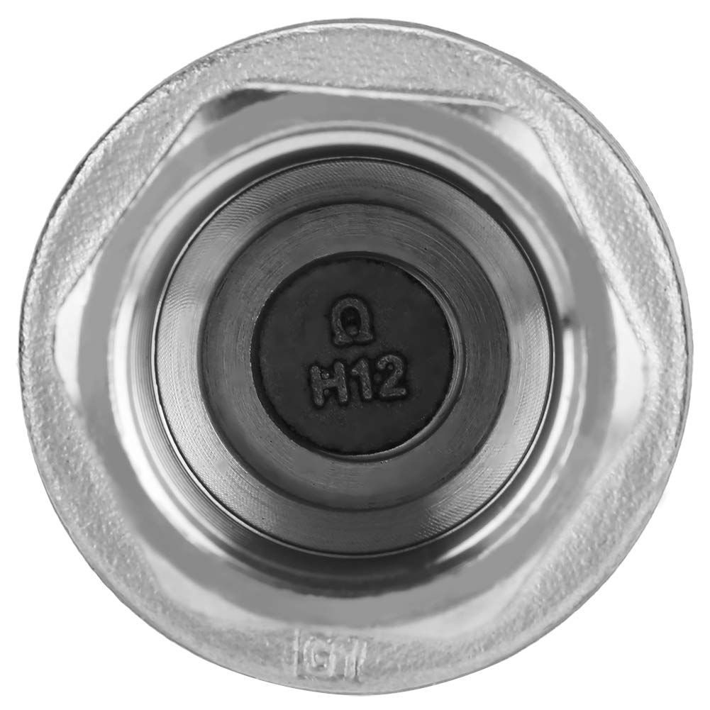 Check Valve,In-line Check Valve 3/4" Female Thread In-line Spring Check Valve Stainless Steel Vertical Valve WOG 1000