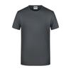 James and Nicholson Mens Basic T-Shirt