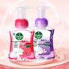 Foaming Anti-bacterial Hand Soap Set