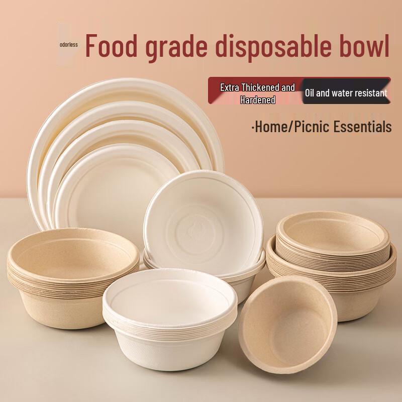 Beiyou Disposable Picnic Tableware Set