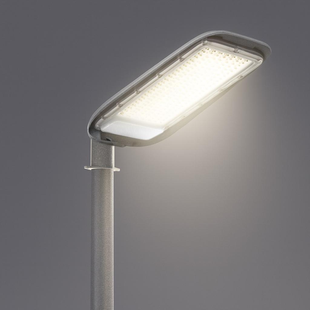Alley Street Lamp 50W 4000K 230V