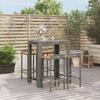 Vidaxl 5-Cz. Garden Furniture Set, Grey, Poly Rattan and Acacia