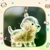 Capsula Ricordo Commemorativo Capelli Cucciolo Trasparente Contenitore Pelo Cane Animale Domestico Ciondolo Portachiavi Decorazione Fai da Te Regali Esposizione Casa Amanti Animali Domestici