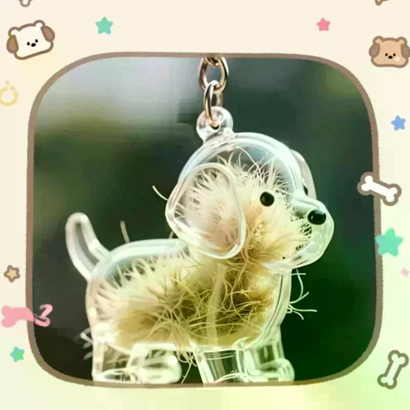 Capsula Ricordo Commemorativo Capelli Cucciolo Trasparente Contenitore Pelo Cane Animale Domestico Ciondolo Portachiavi Decorazione Fai da Te Regali Esposizione Casa Amanti Animali Domestici