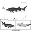 Children's Marine Animal Toy: Whale, Shark, Humpback Whale Model