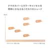 RMK - Correcting Veil Concealer