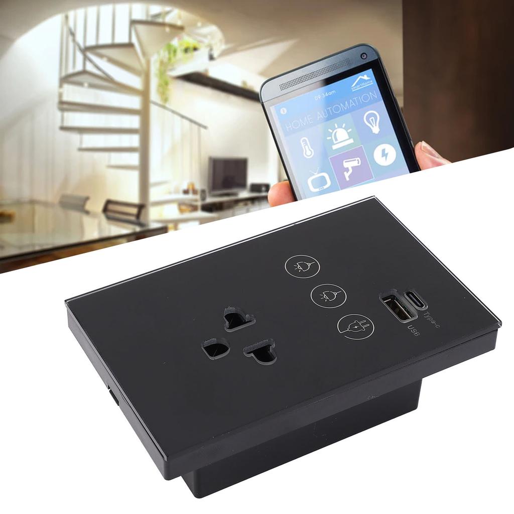 Smart Wall Outlet 2.4G WiFi Touch Light Voice Remote Control Smart Plug with USB and Type C Port for