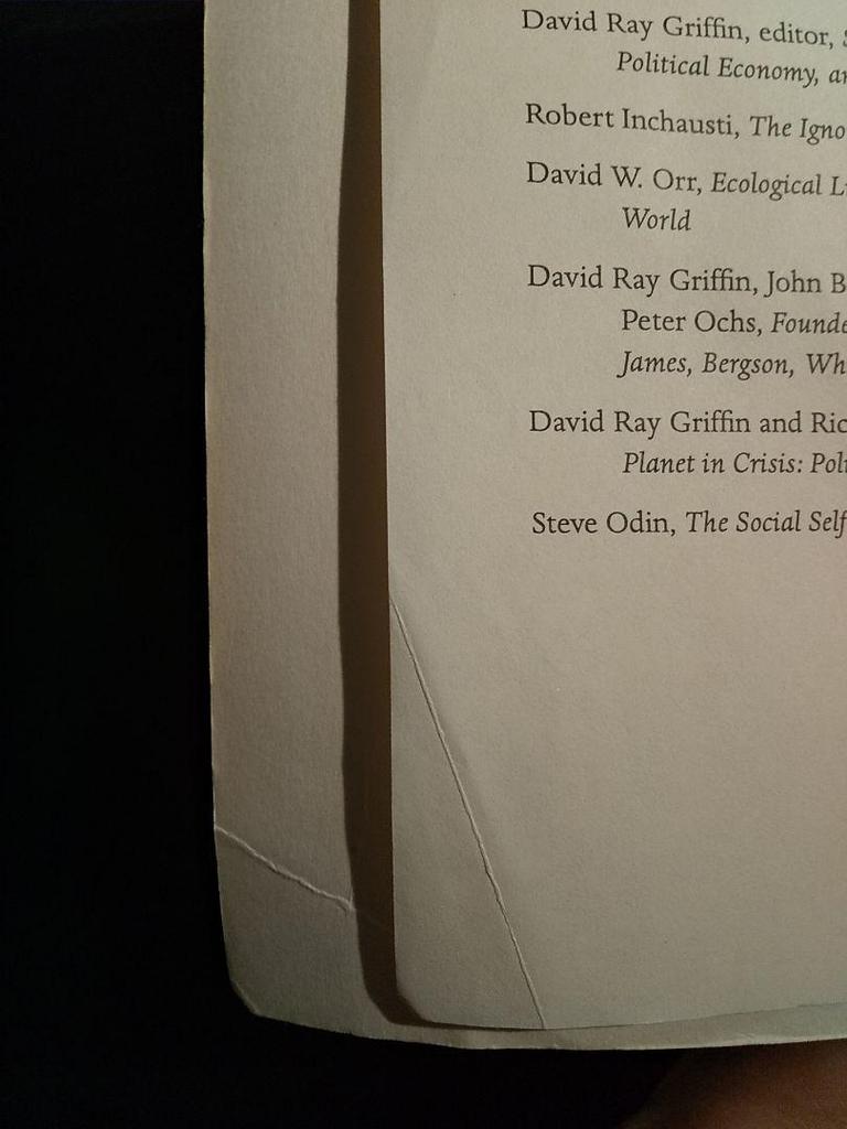 [USED] <Foreign Book> Zen and the Social Self in American Pragmatism / Steve Odin