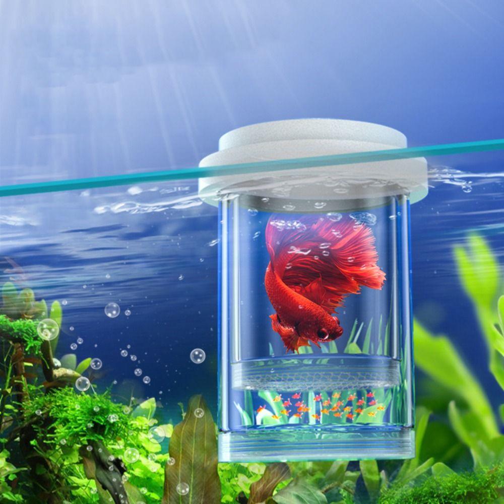 

Single Layer Fish Breeding Isolation Box Fine/Coarse Mesh Aquarium Breeder Feeder Home S-Coarse Mesh