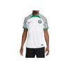 Nike Nigeria 2022/23 Koszulka Stadionowa Wyjazdowa Biała/Sosnowa Zieleń/Czarna Męska Streetwear DN0695-100