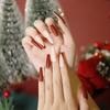 European & American Christmas Press-On False Nails Set