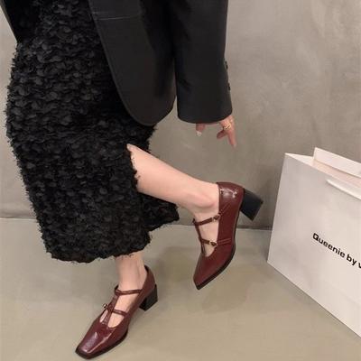 Mary Jane Shoes Women's Shoes Spring and Autumn 2025 New Thick Heel Light Mouth with Skirt Versatile Single Shoes