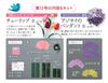 Fun Tsumami Zaiku 12 No. [Encyclopedia] (with kit)