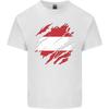 Torn Austria Flag Austrian Day Football Unisexs Light Cotton TShirt