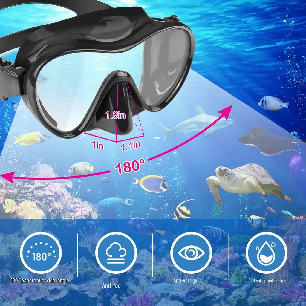 Anti-Fog Dry Snorkel and Dive Mask Set