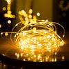 5M-50M LED String Lights Silver Copper Wire 12V Fairy Night Lamp for Chiristmas Garland Bedroom Light Indoor Wedding Decoration