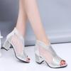 Summer New Women Sexy Word Buckle Sandals Woman Fairy Style Small Wild Low-Heeled Shoes Female Gold Silver Sandals