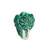 Contemporary Garden Themed Hair Clip Acrylic Hair Accessories Decorative Barrettes For Ponytails Bang Daily Styling